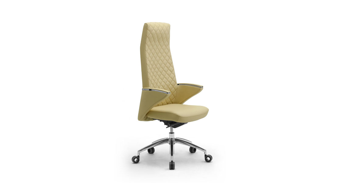 fauteuil-direction-avec-design-elegant-img-03